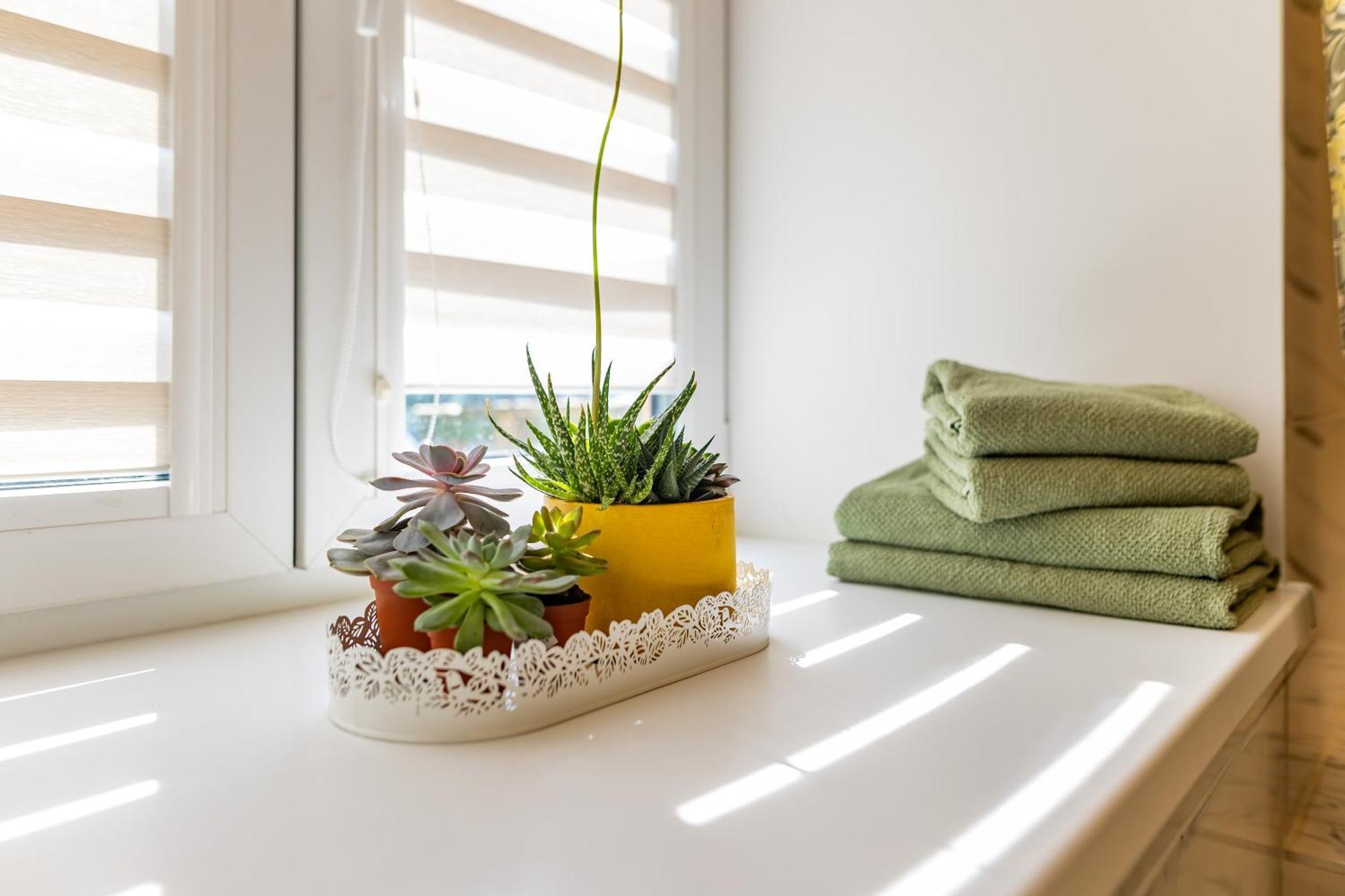 Raugyklos Apartamentai VNO Exteriör bild